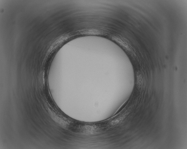 X0000082730302200702091844