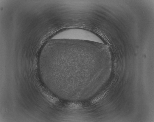 X0000082730303200702091844