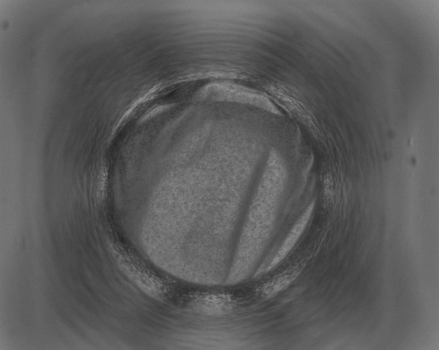 X0000082730304200702091844