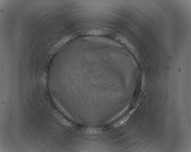 X0000082730305200702091844