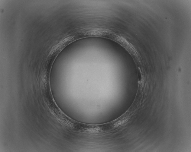 X0000082730306200702091844