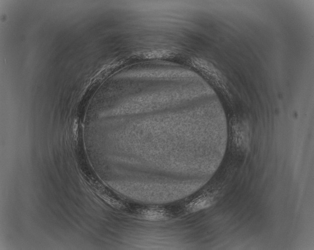 X0000082730308200702091844