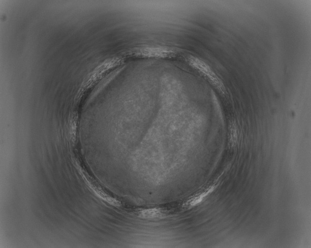 X0000082730309200702091844