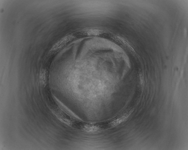 X0000082730311200702091844