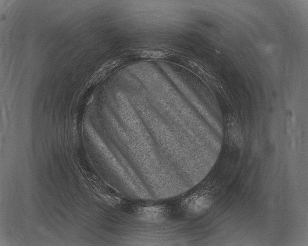 X0000082730312200702091844