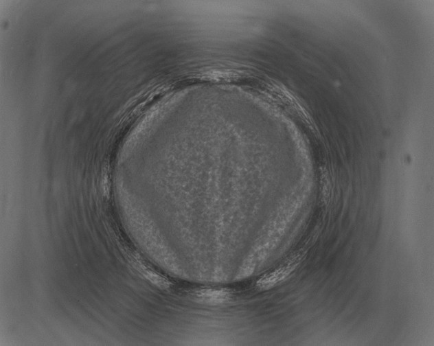 X0000082730313200702091844