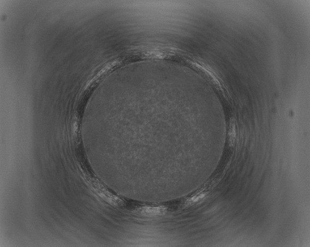 X0000082730314200702091844