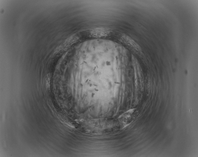 X0000082730315200702091844