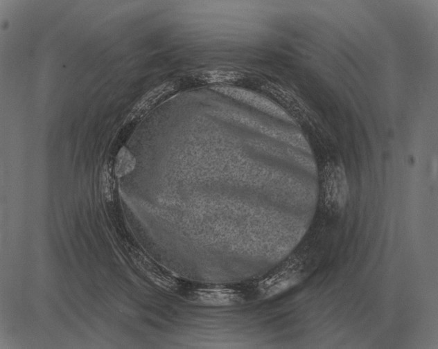 X0000082730316200702091844