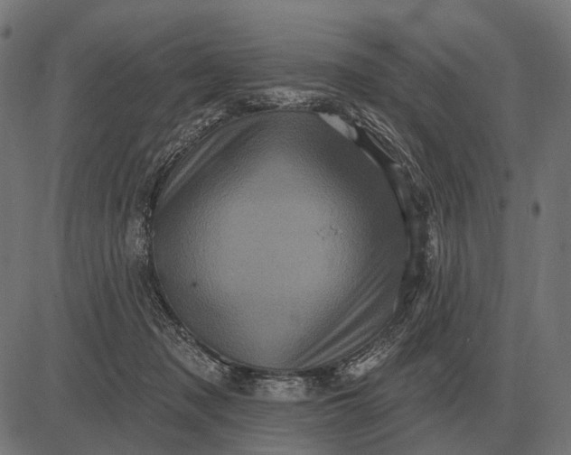 X0000082730317200702091844