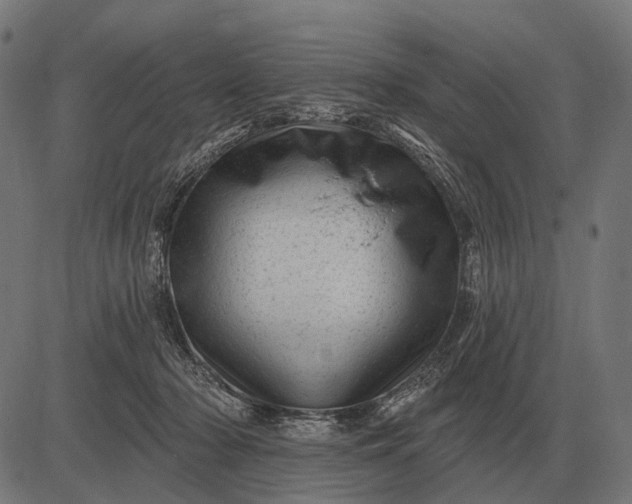 X0000082730318200702091844