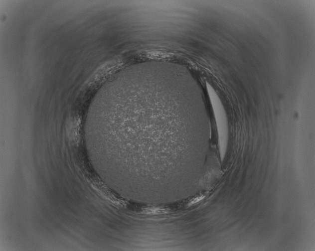 X0000082730319200702091844