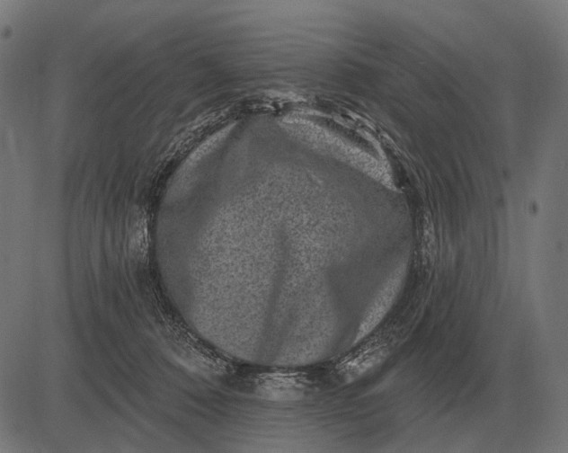 X0000082730320200702091844