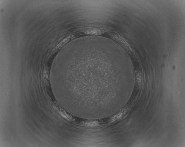 X0000082730322200702091844