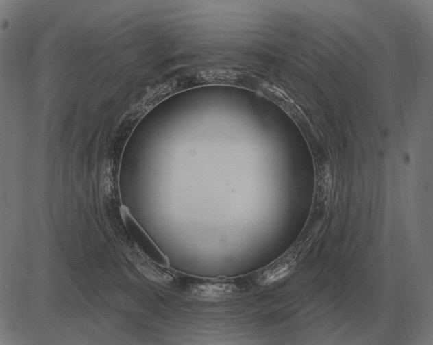 X0000082730323200702091844