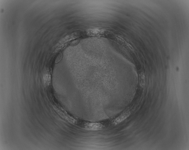 X0000082730324200702091844