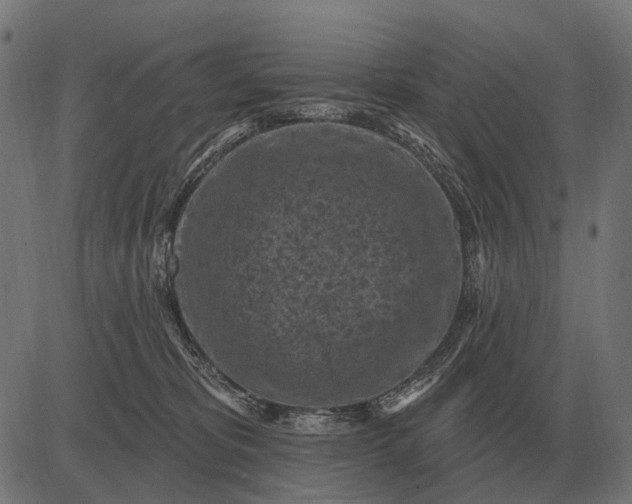 X0000082730325200702091844