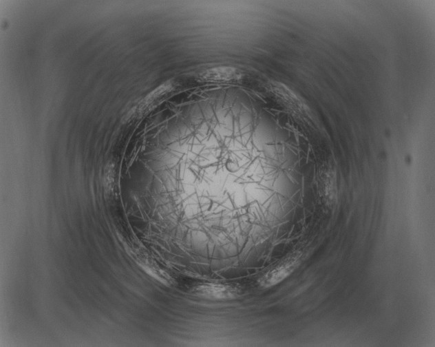 X0000082730326200702091844