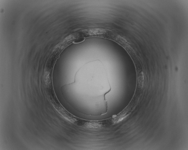 X0000082730327200702091844