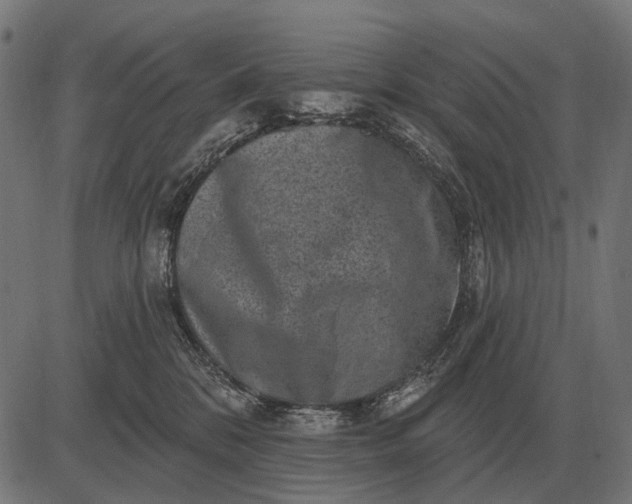 X0000082730328200702091844