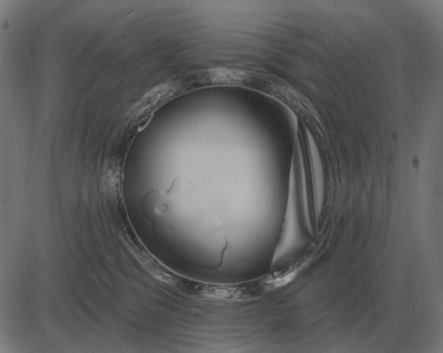 X0000082730329200702091844