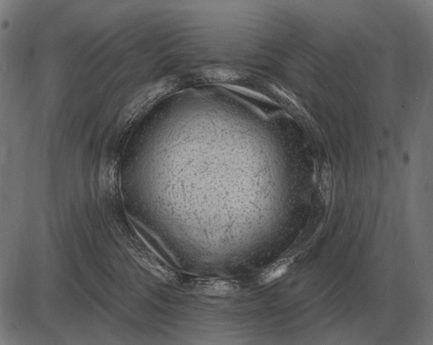 X0000082730330200702091844