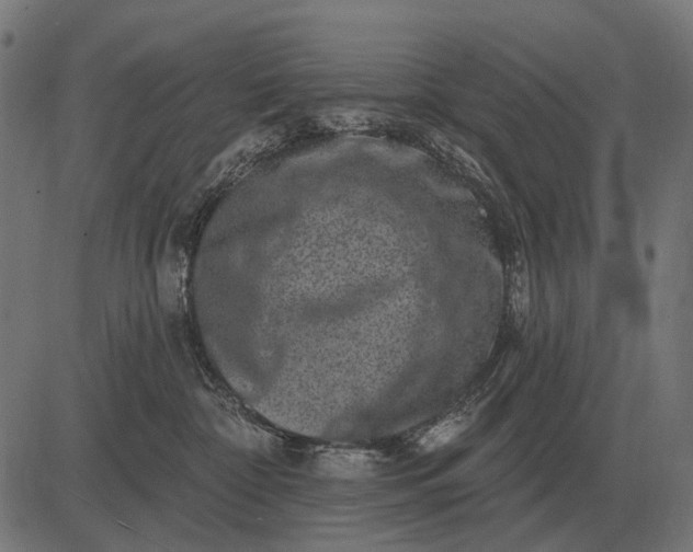 X0000082730332200702091844