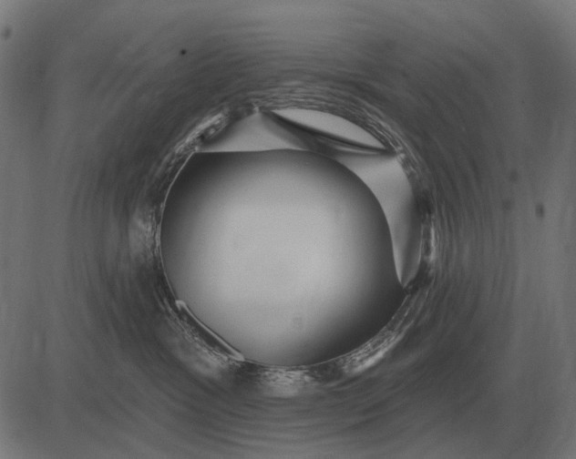 X0000082730333200702091844