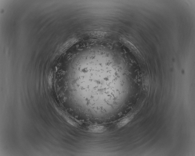 X0000082730334200702091844