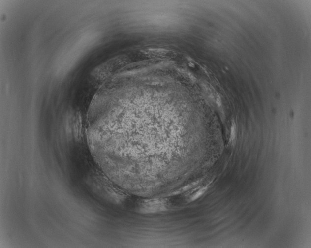 X0000082730335200702091844