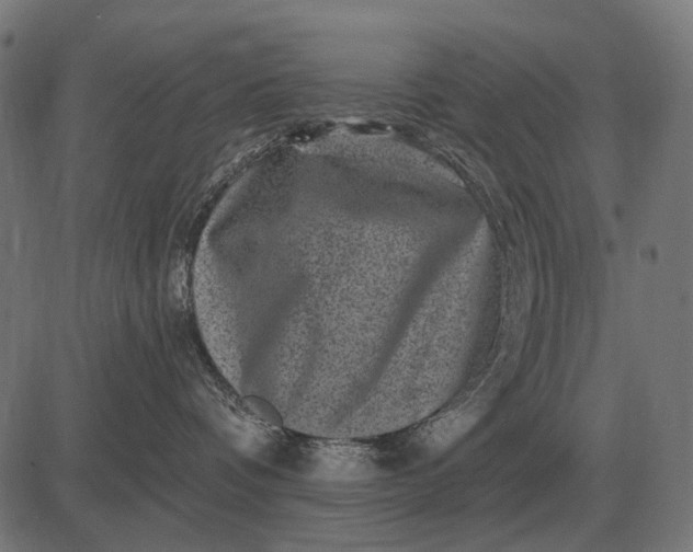 X0000082730336200702091844