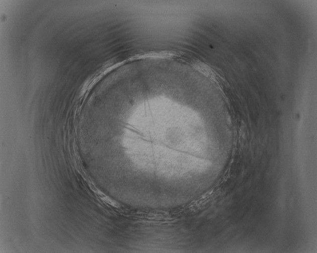 X0000082730337200702091843