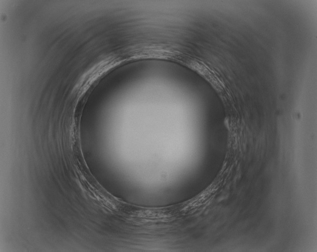 X0000082730338200702091843