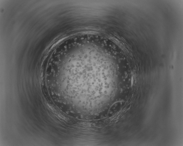 X0000082730339200702091843