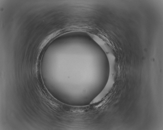 X0000082730340200702091843