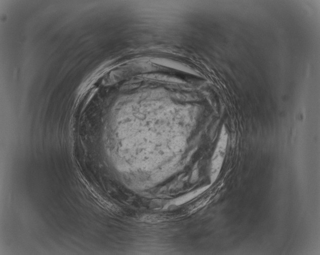 X0000082730341200702091843