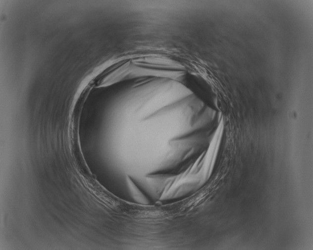 X0000082730342200702091843