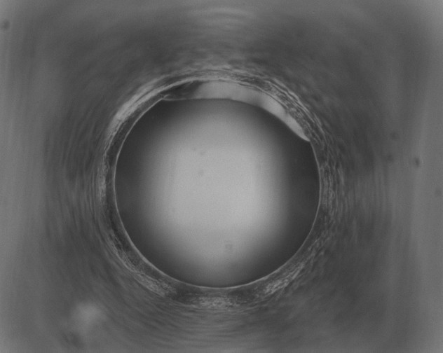 X0000082730344200702091843