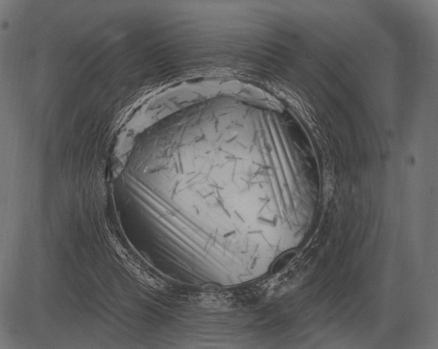 X0000082730345200702091843