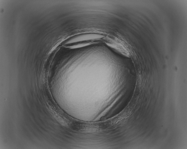 X0000082730347200702091843