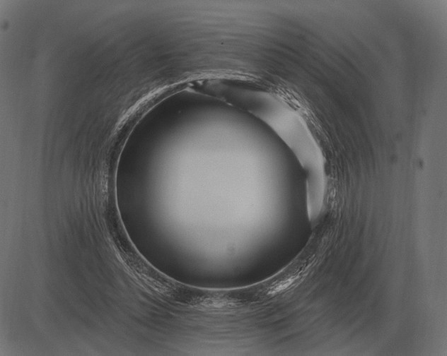 X0000082730348200702091843