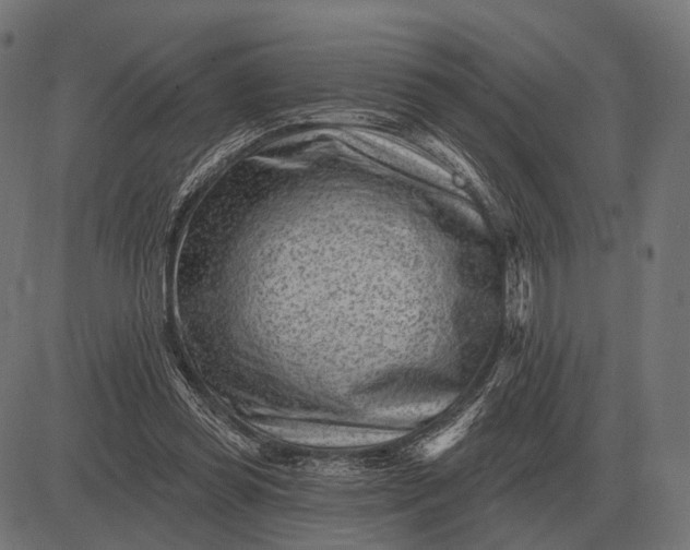 X0000082730349200702091843