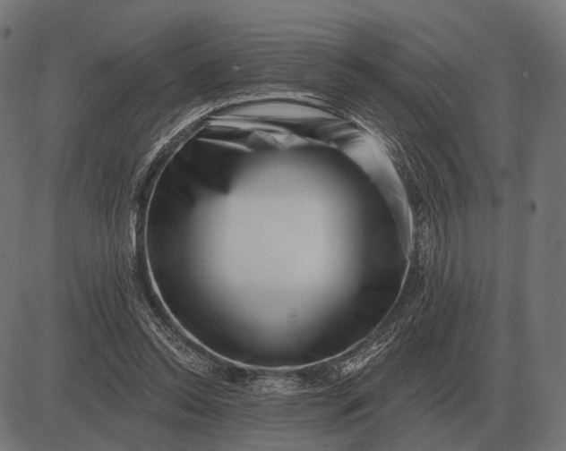 X0000082730350200702091843