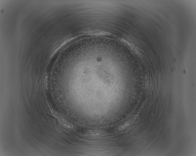 X0000082730351200702091843