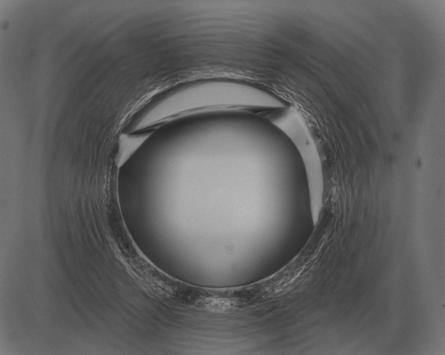 X0000082730352200702091843