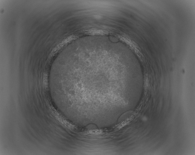 X0000082730353200702091843