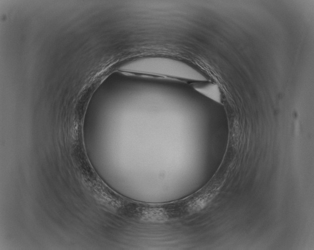 X0000082730355200702091843