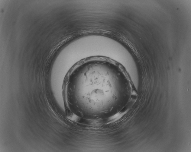 X0000082730356200702091843