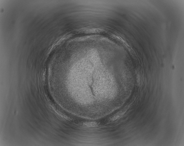 X0000082730357200702091843