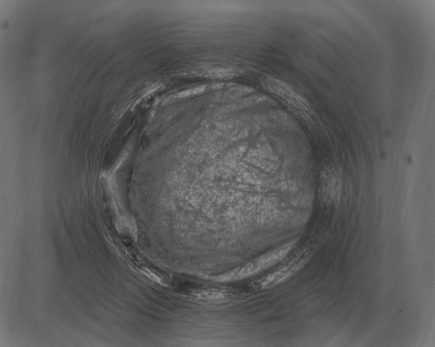 X0000082730358200702091843